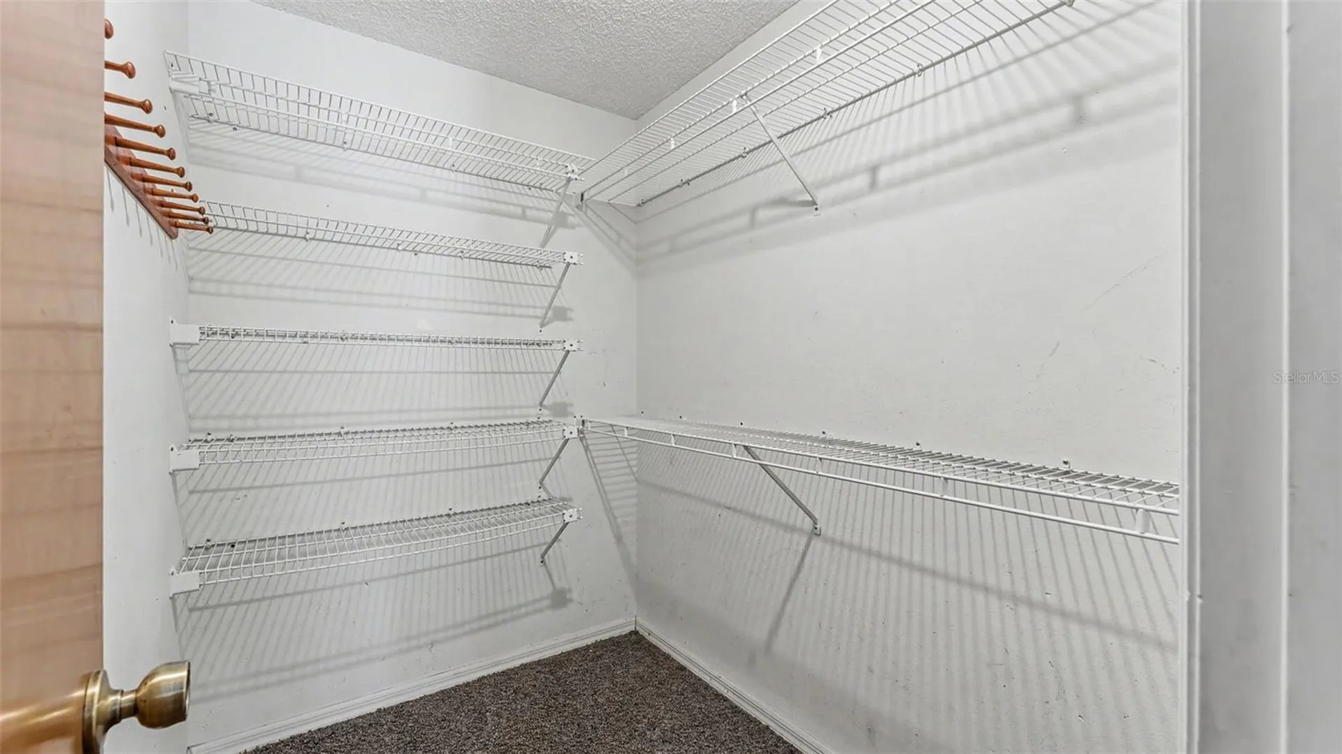 1428 N Timberidge Loop Lakeland FL 33809