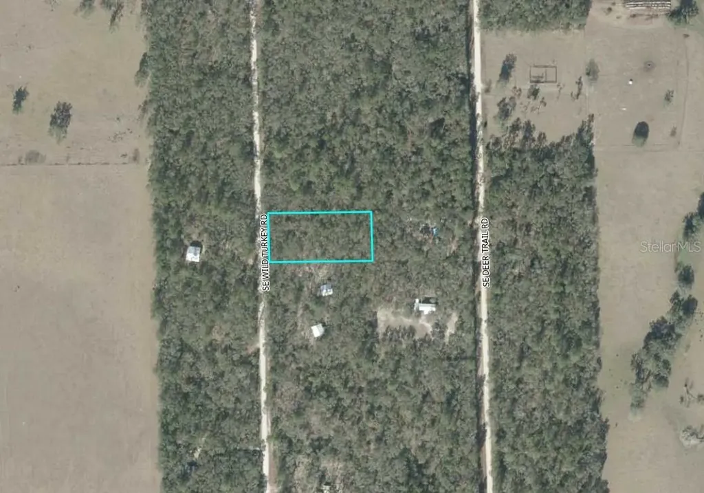 SE Wild Turkey Road Branford FL 32008