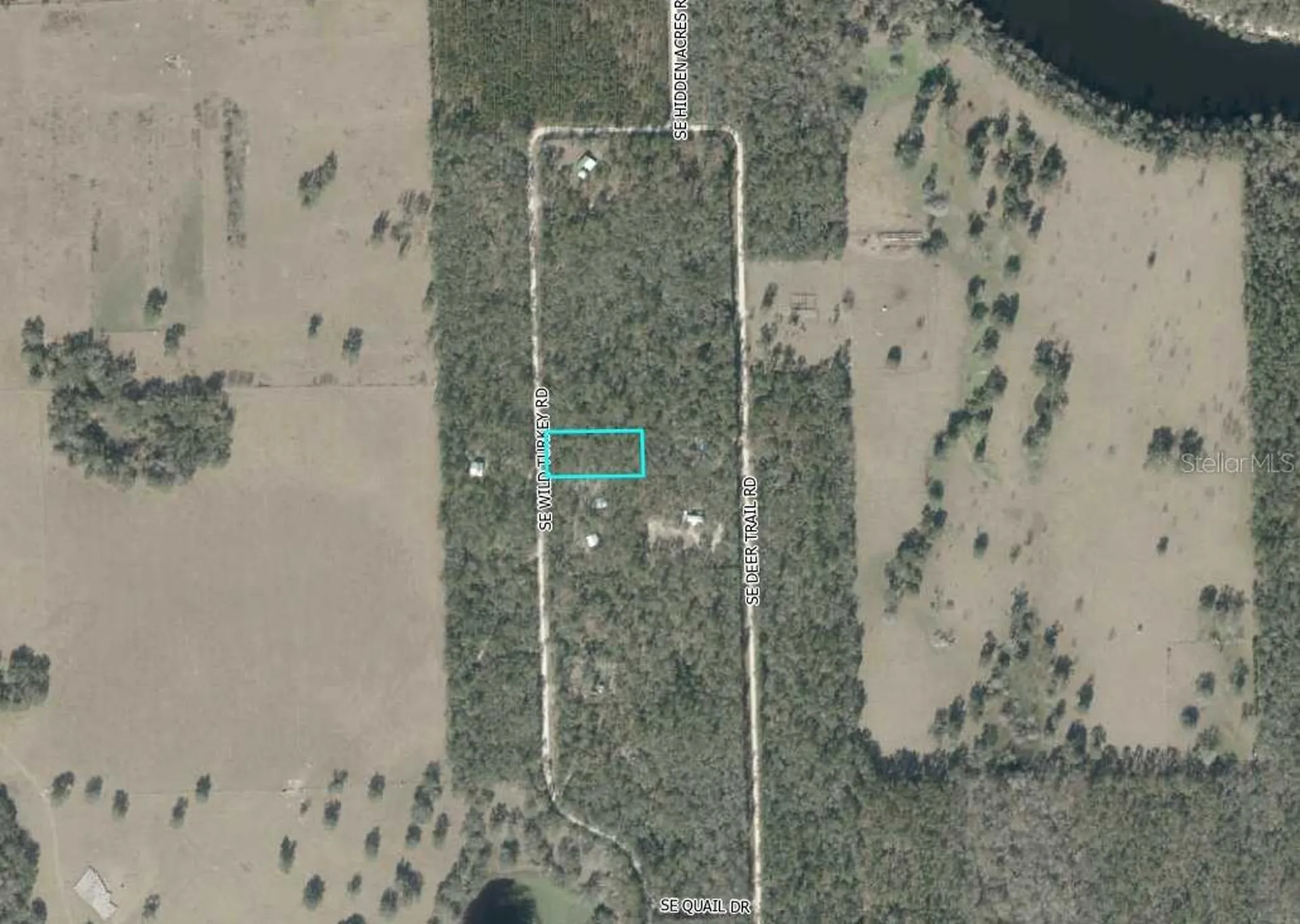 SE Wild Turkey Road Branford FL 32008