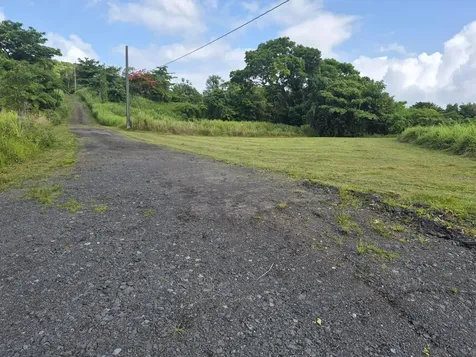 Pr 956 Km 8.8 E Sector Los Medinas Bo Guzman Arriba Rio Grande PR 00745