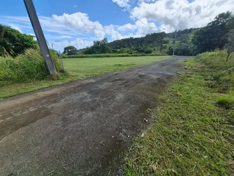 Pr 956 Km 8.8 E Sector Los Medinas Bo Guzman Arriba Rio Grande PR 00745
