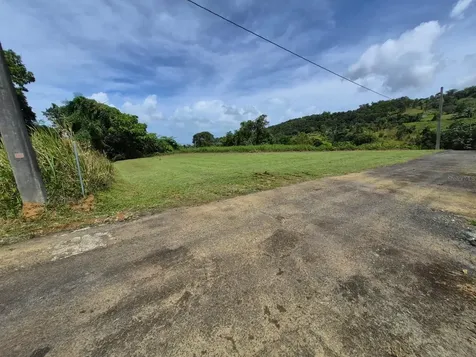 Pr 956 Km 8.8 E Sector Los Medinas Bo Guzman Arriba Rio Grande PR 00745