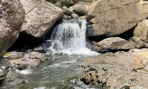 Pr 956 Km 8.8 E Sector Los Medinas Bo Guzman Arriba Rio Grande PR 00745