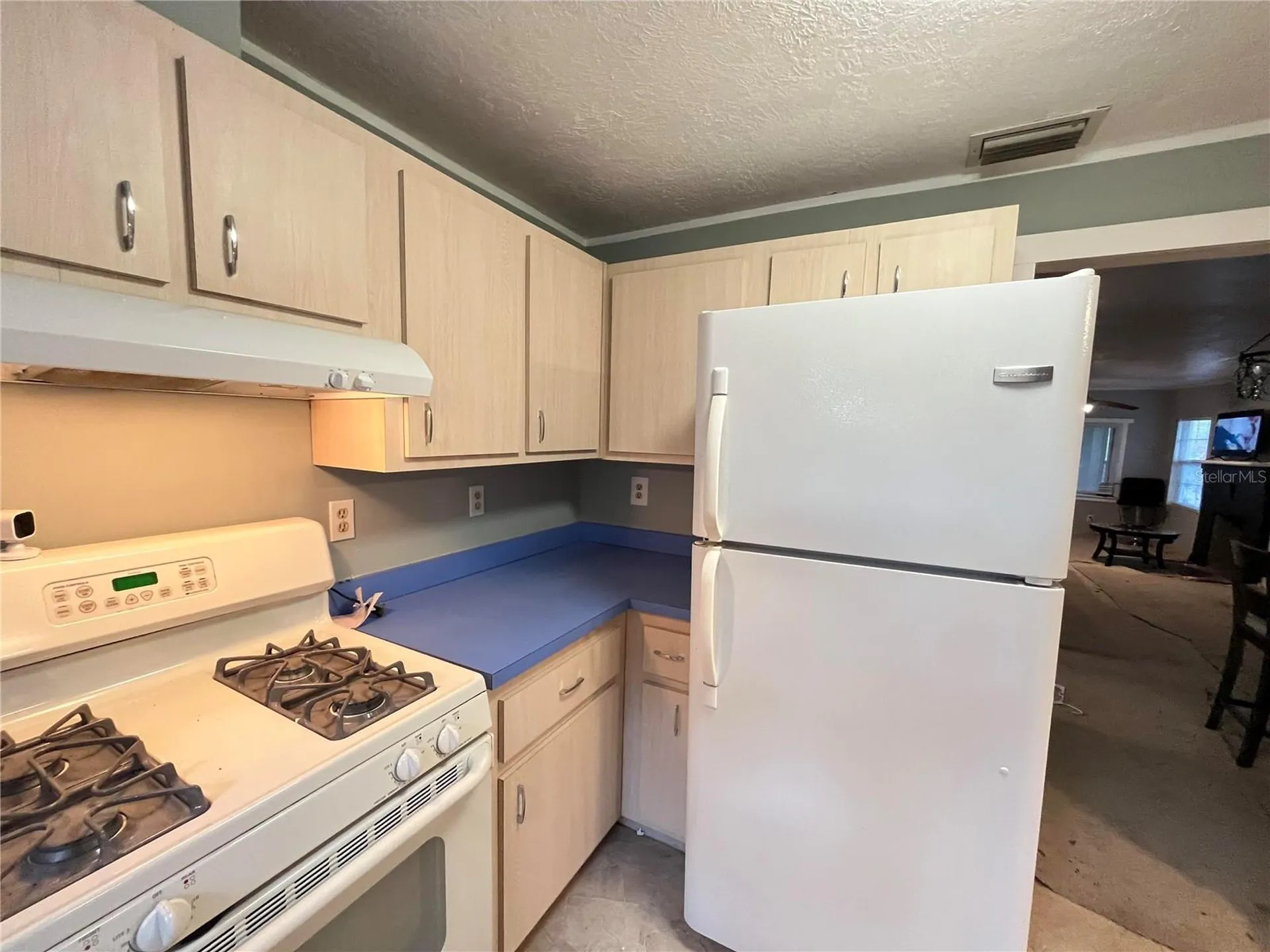 2432 SW 1st Street Ocala FL 34475