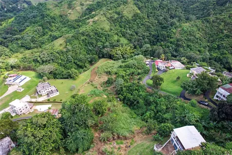 Pr 568 Km 28.5 Sector El Limon Padilla Corozal PR 00783