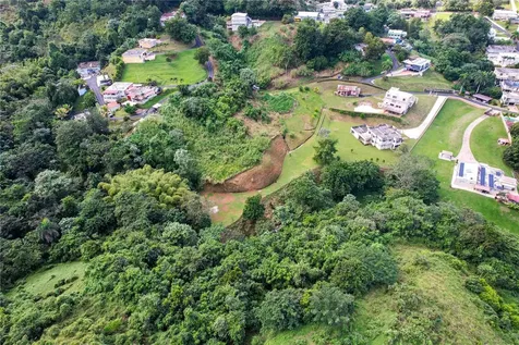 Pr 568 Km 28.5 Sector El Limon Padilla Corozal PR 00783