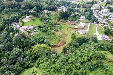 Pr 568 Km 28.5 Sector El Limon Padilla Corozal PR 00783
