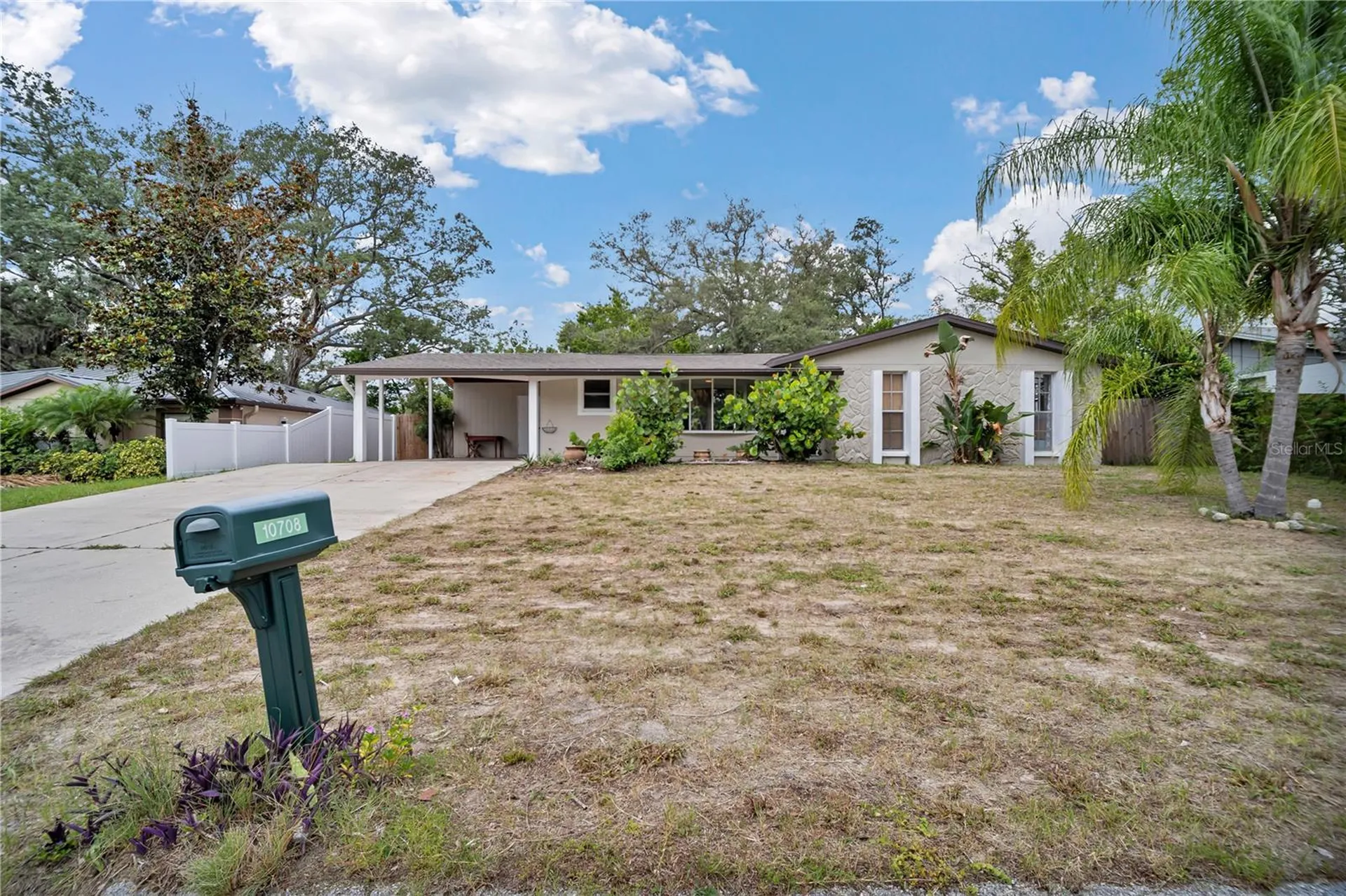 10708 N Ojus Drive Tampa FL 33617