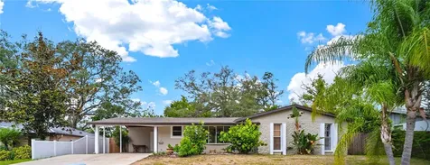 10708 N Ojus Drive Tampa FL 33617