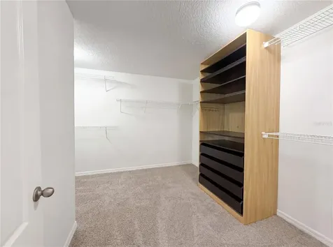 14207 Alistar Manor Drive Wimauma FL 33598