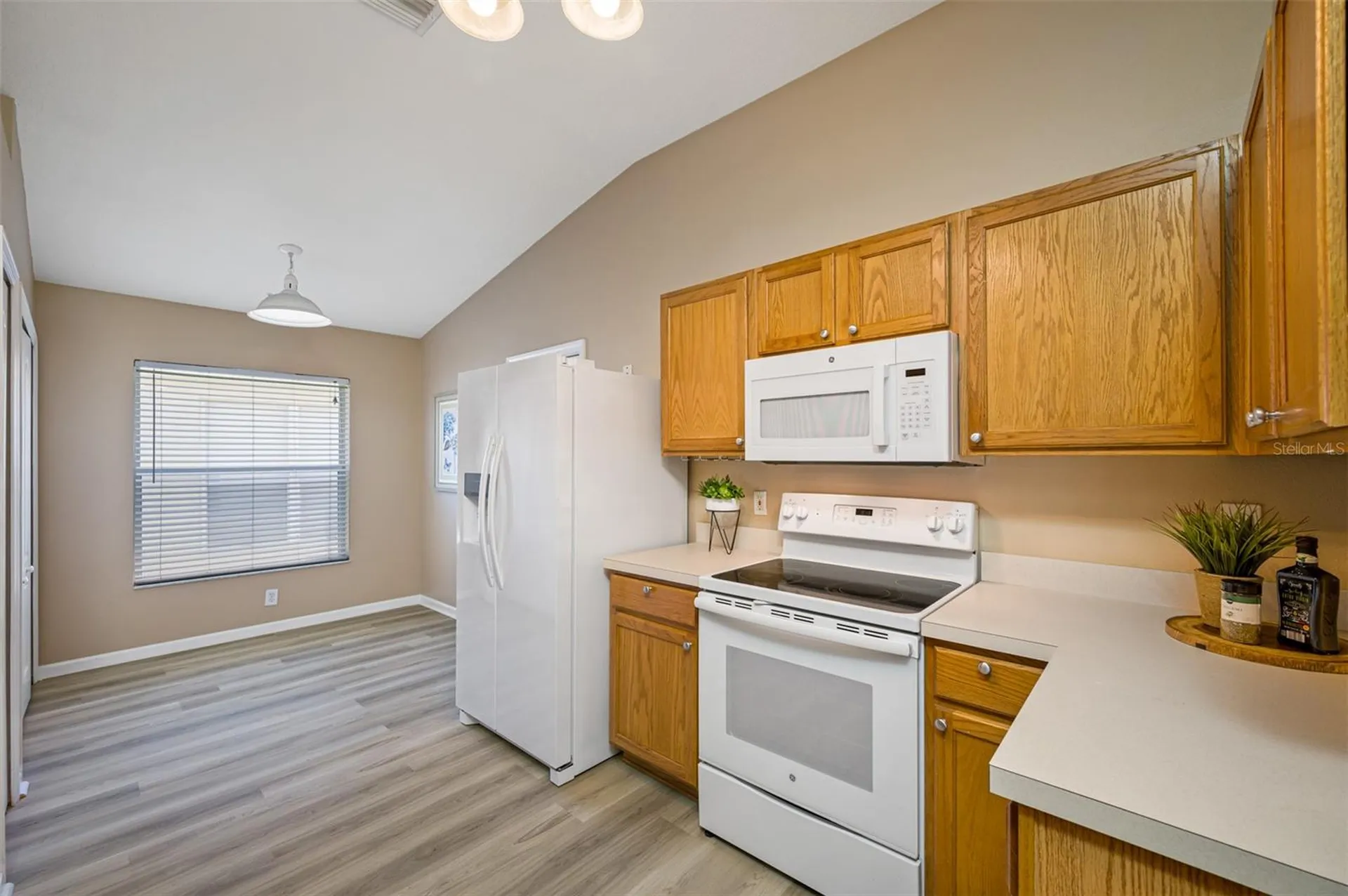 12915 Early Run Lane Riverview FL 33578