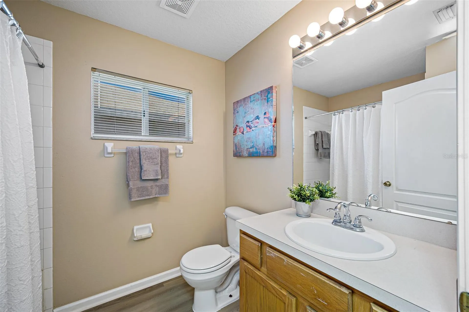 12915 Early Run Lane Riverview FL 33578