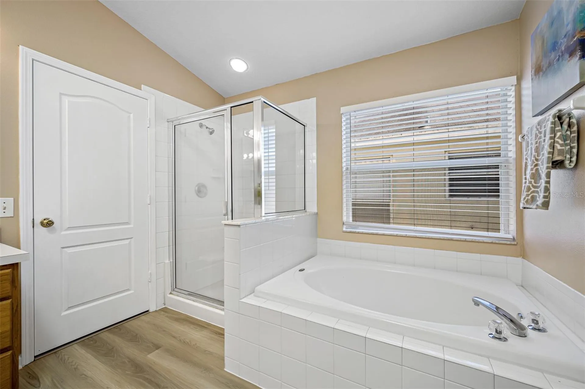 12915 Early Run Lane Riverview FL 33578