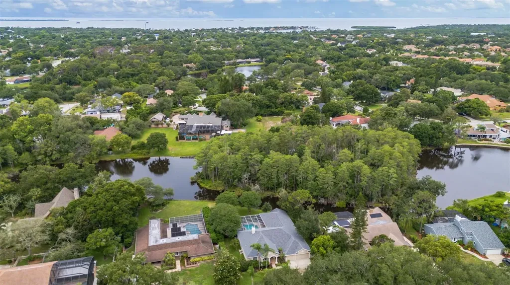 3110 Harvest Moon Drive Palm Harbor FL 34683