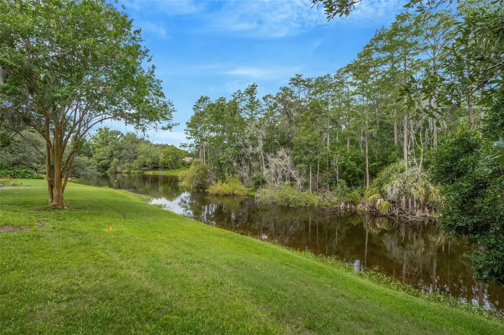 3110 Harvest Moon Drive Palm Harbor FL 34683