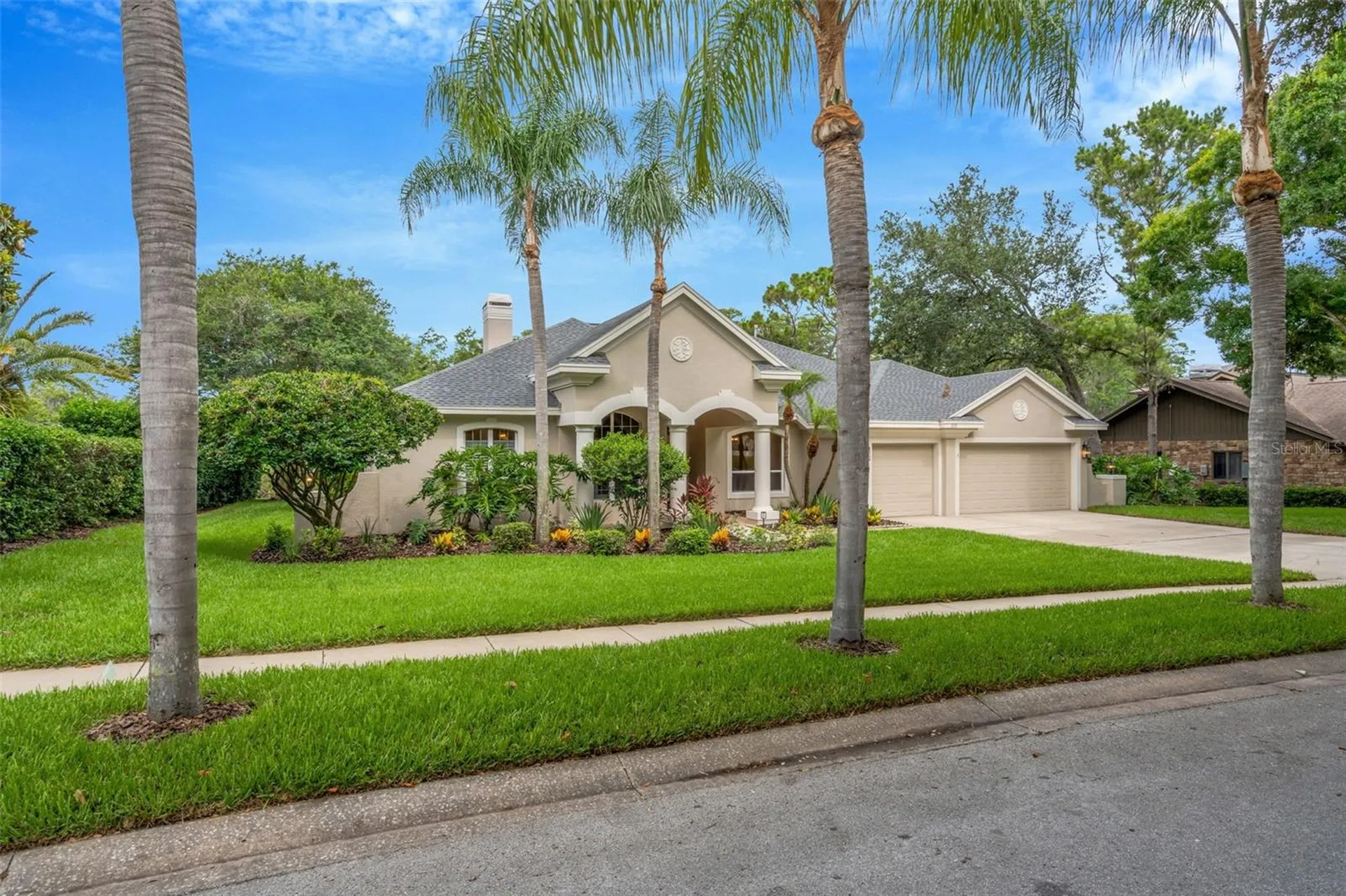 3110 Harvest Moon Drive Palm Harbor FL 34683