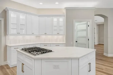 3110 Harvest Moon Drive Palm Harbor FL 34683