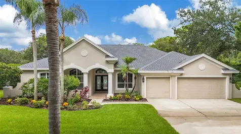 3110 Harvest Moon Drive Palm Harbor FL 34683