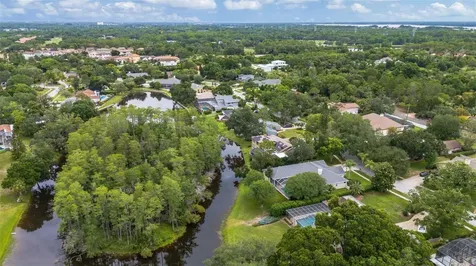 3110 Harvest Moon Drive Palm Harbor FL 34683