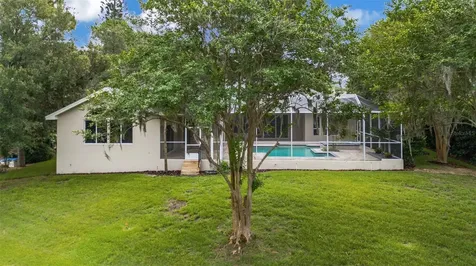 3110 Harvest Moon Drive Palm Harbor FL 34683