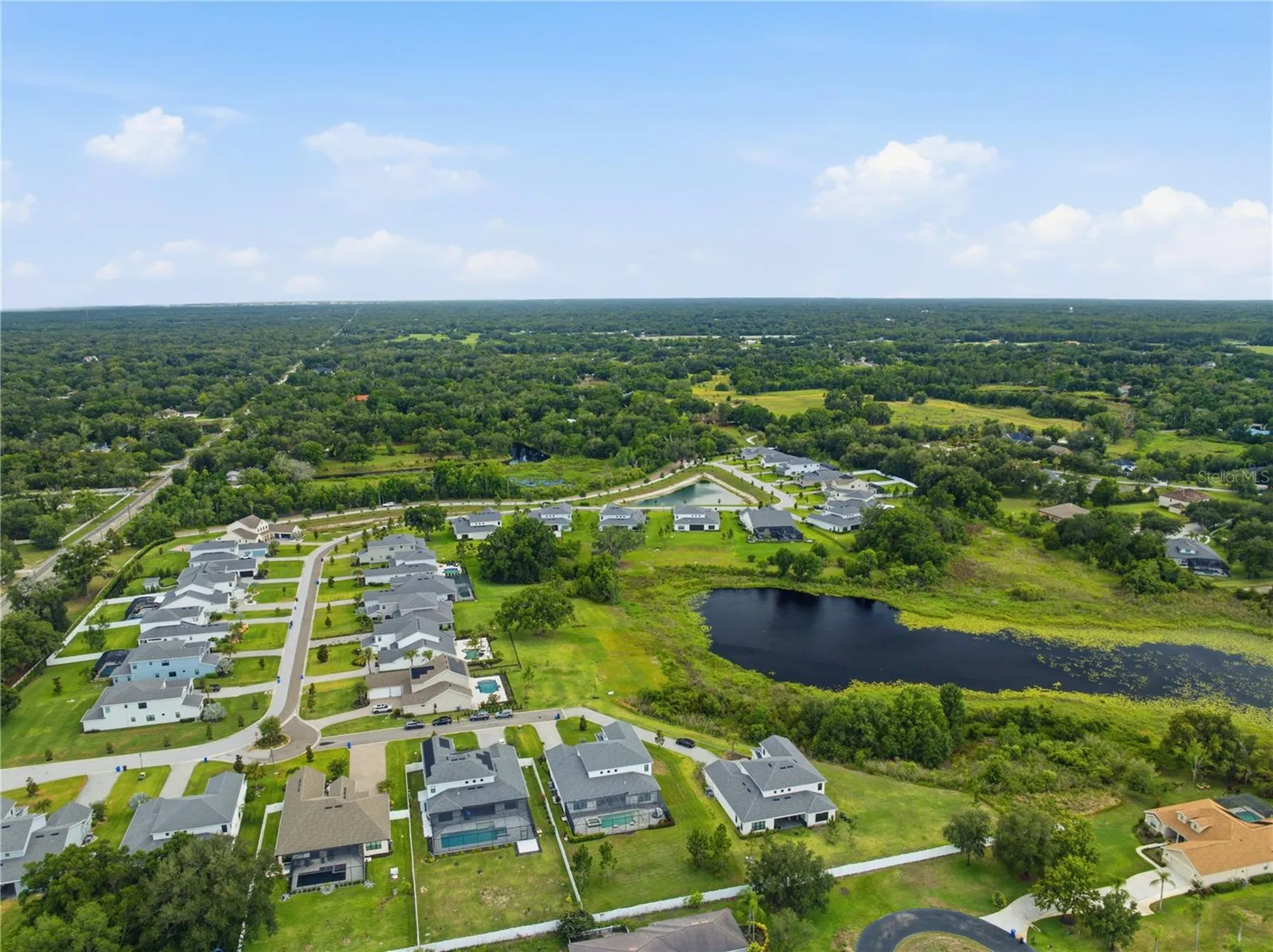 2340 White Dogwood Loop Lutz FL 33549