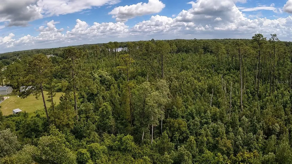 11005 SE 165th Terrace Road Ocklawaha FL 32179