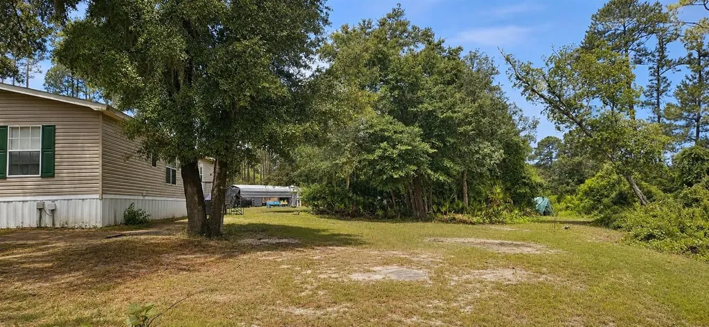 11005 SE 165th Terrace Road Ocklawaha FL 32179
