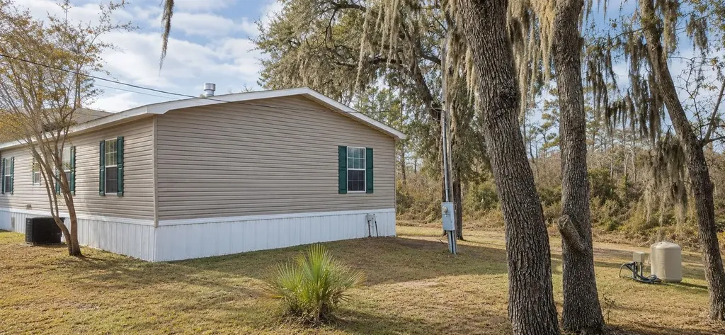 11005 SE 165th Terrace Road Ocklawaha FL 32179