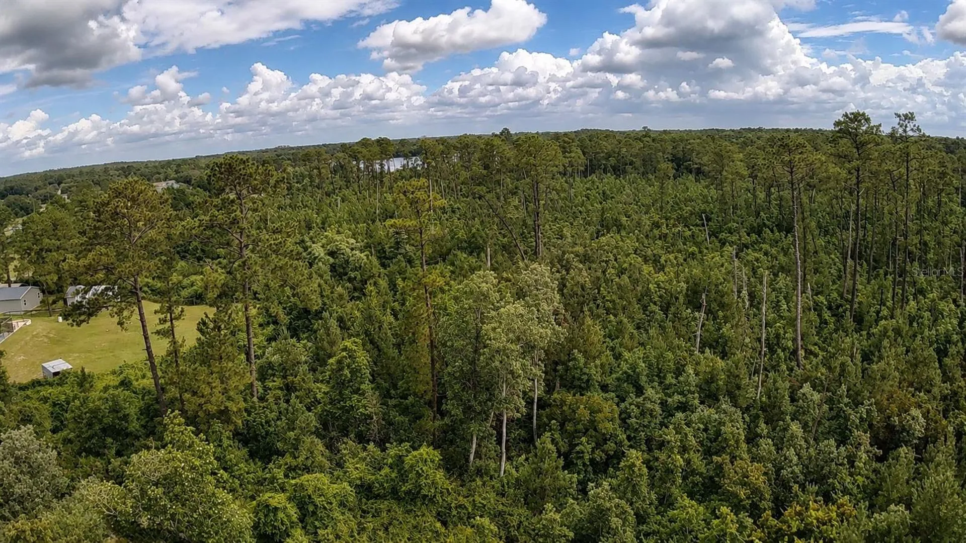 11005 SE 165th Terrace Road Ocklawaha FL 32179