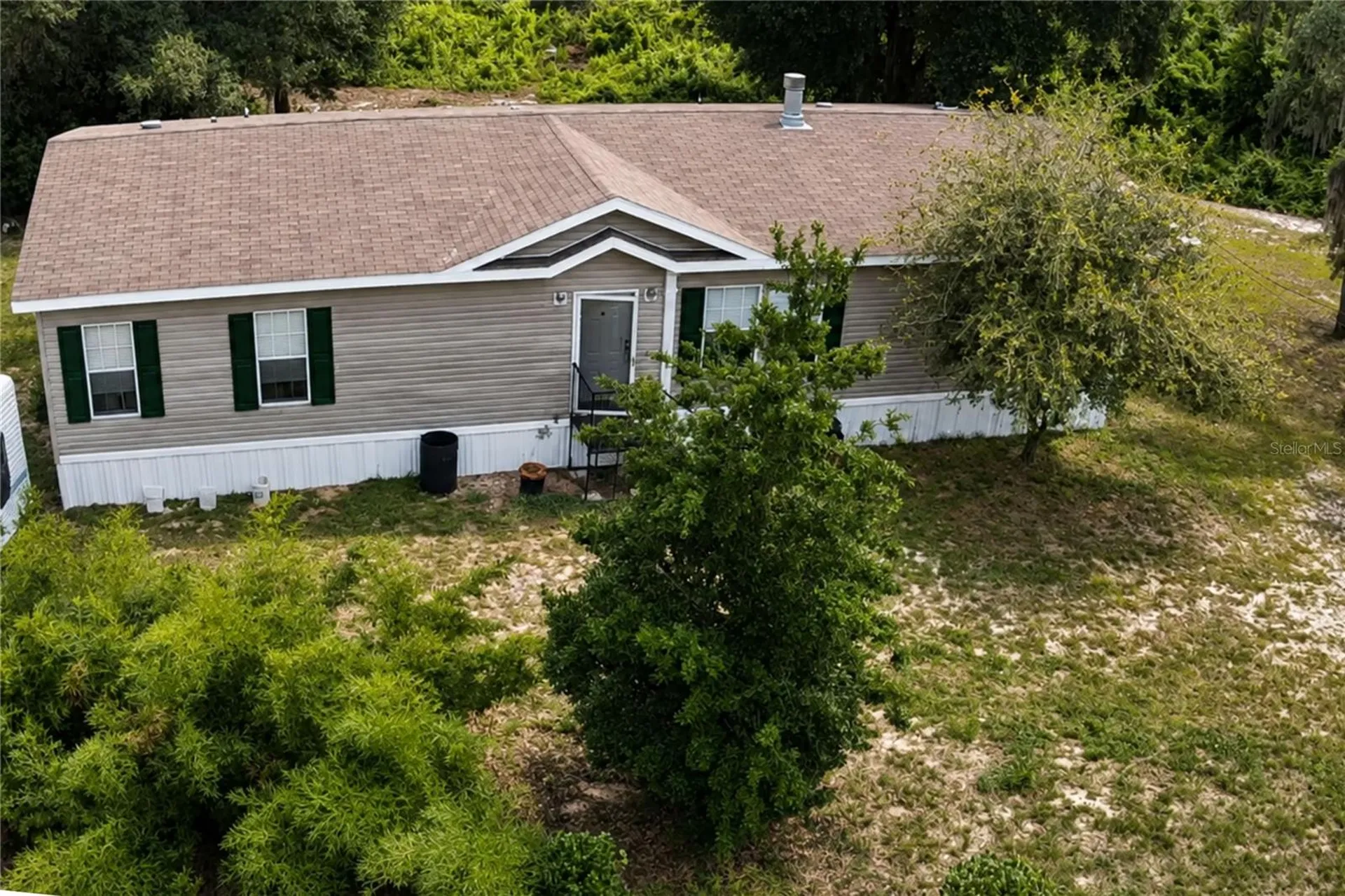 11005 SE 165th Terrace Road Ocklawaha FL 32179
