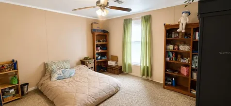 11005 SE 165th Terrace Road Ocklawaha FL 32179