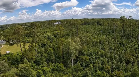 11005 SE 165th Terrace Road Ocklawaha FL 32179