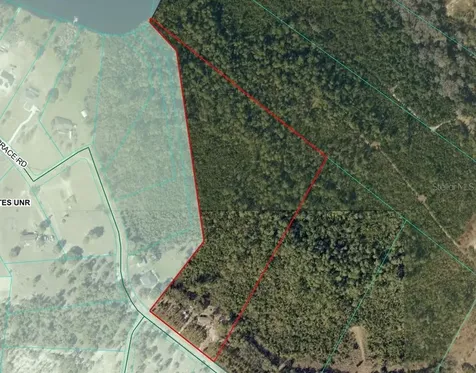 11005 SE 165th Terrace Road Ocklawaha FL 32179