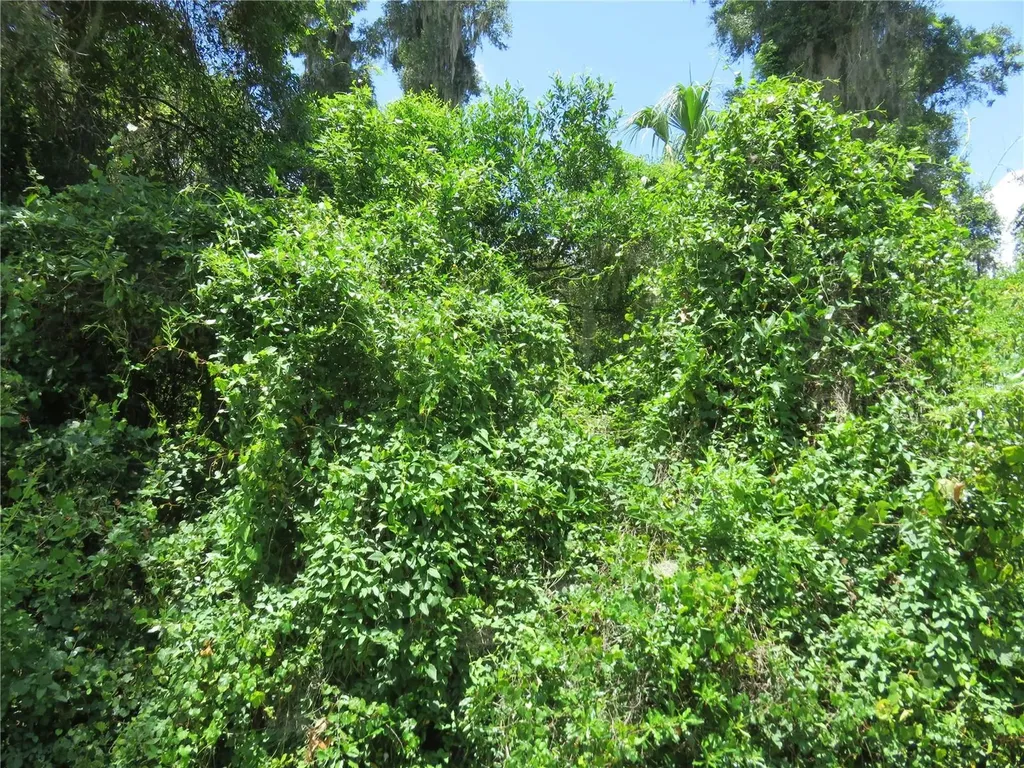 00 SE 142 Place Summerfield FL 34491