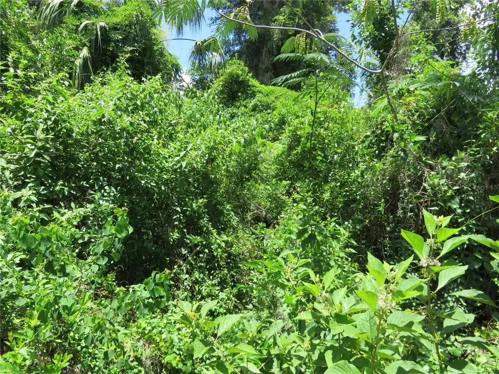 00 SE 142 Place Summerfield FL 34491