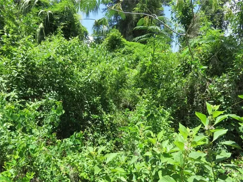 00 SE 142 Place Summerfield FL 34491