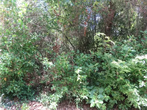 00 SE 142 Place Summerfield FL 34491