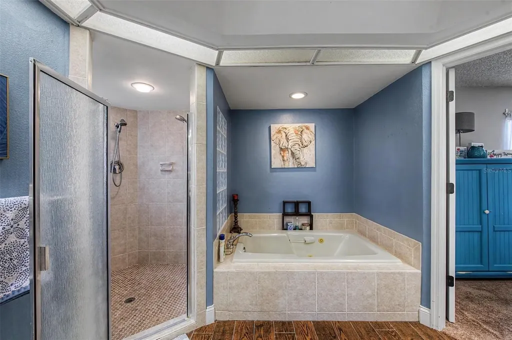 3916 Broomsedge Lane Valrico FL 33596
