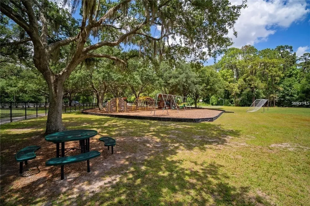 3916 Broomsedge Lane Valrico FL 33596