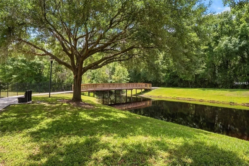 3916 Broomsedge Lane Valrico FL 33596