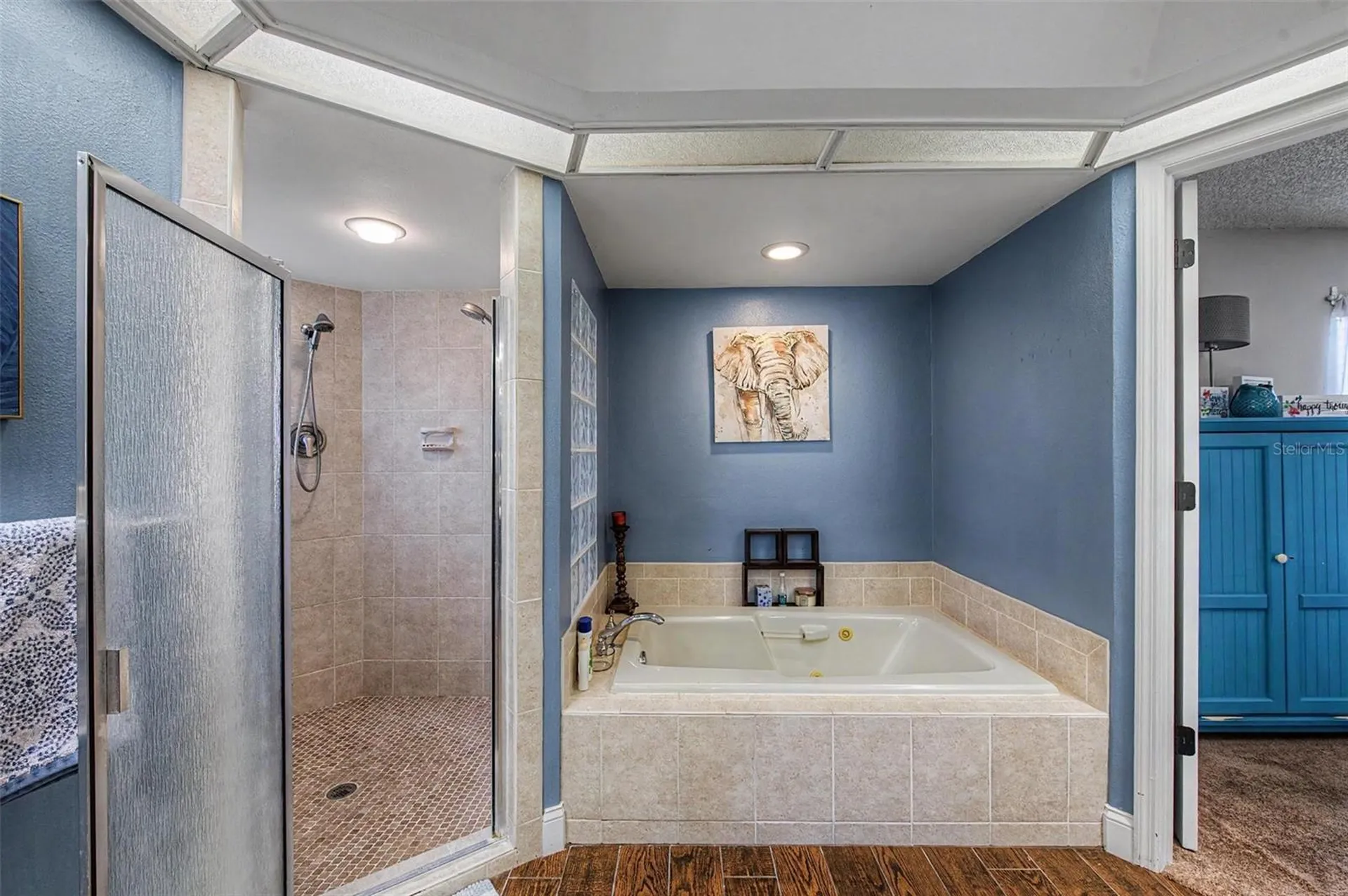 3916 Broomsedge Lane Valrico FL 33596