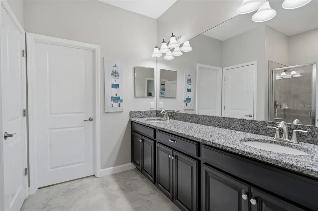 16952 Balance Cove Land O Lakes FL 34638