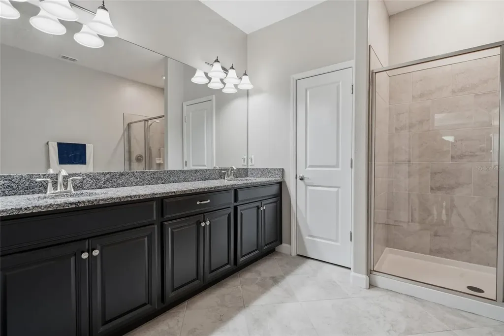 16952 Balance Cove Land O Lakes FL 34638