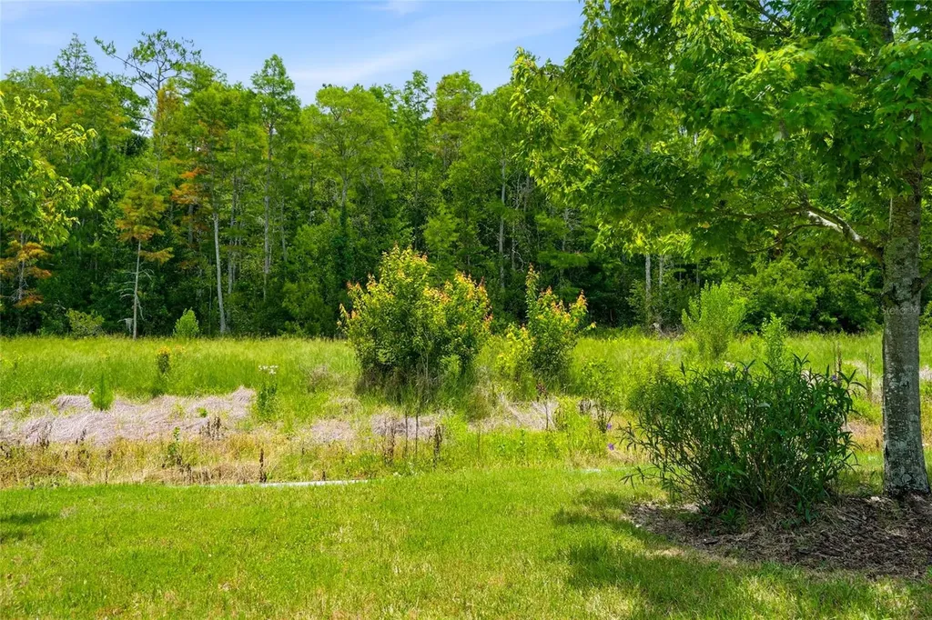 16952 Balance Cove Land O Lakes FL 34638