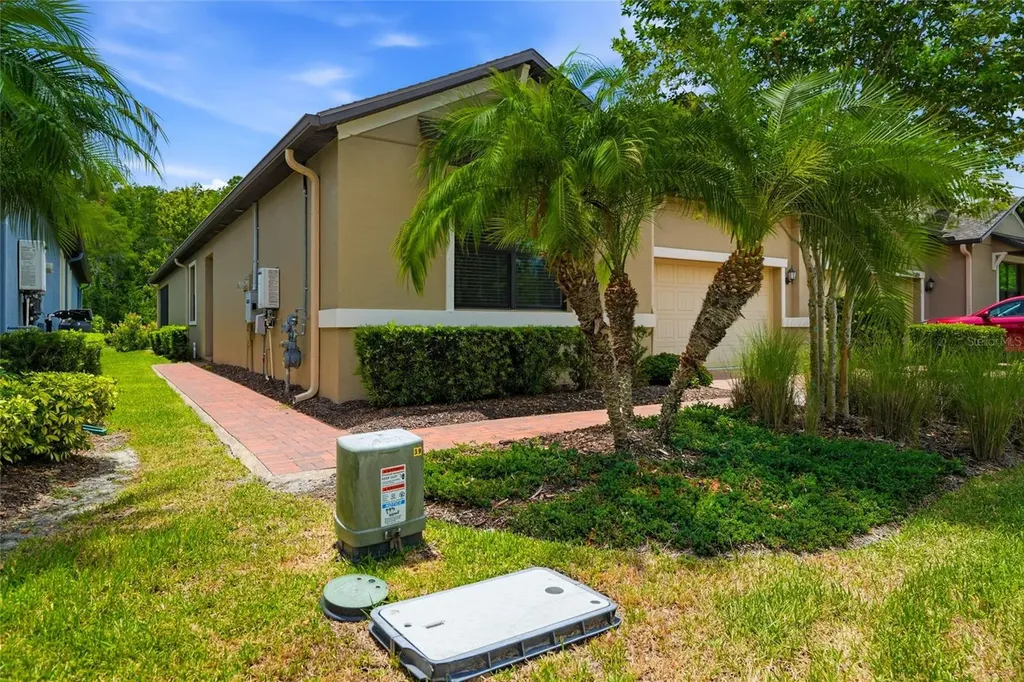 16952 Balance Cove Land O Lakes FL 34638
