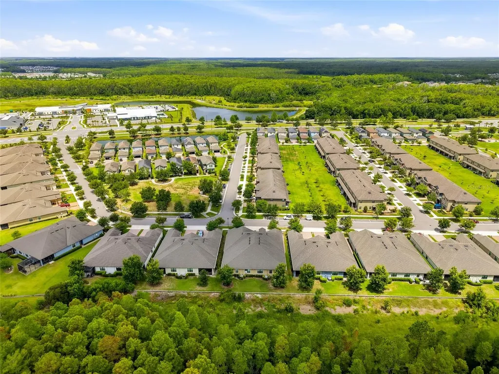 16952 Balance Cove Land O Lakes FL 34638
