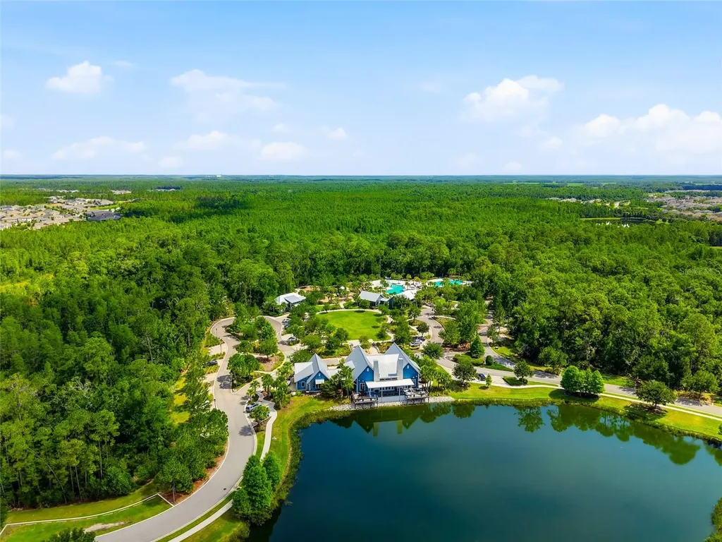 16952 Balance Cove Land O Lakes FL 34638