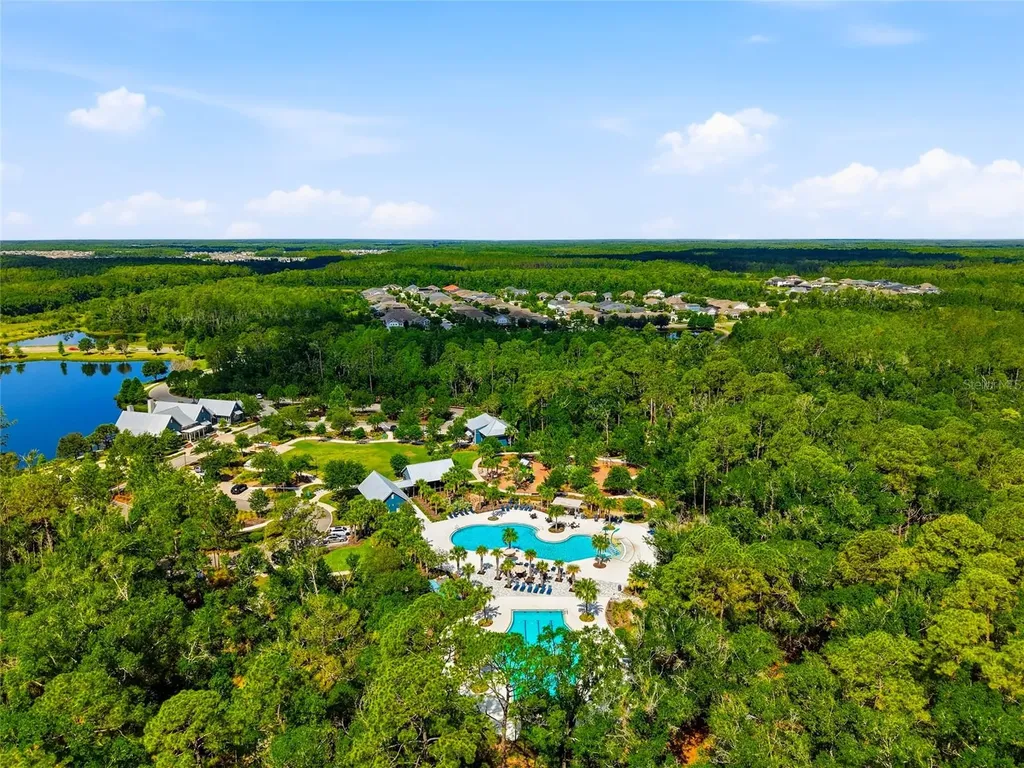 16952 Balance Cove Land O Lakes FL 34638