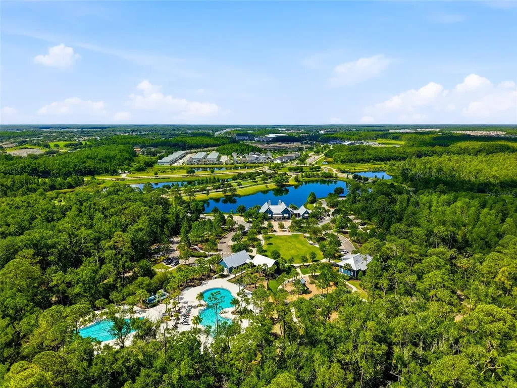 16952 Balance Cove Land O Lakes FL 34638
