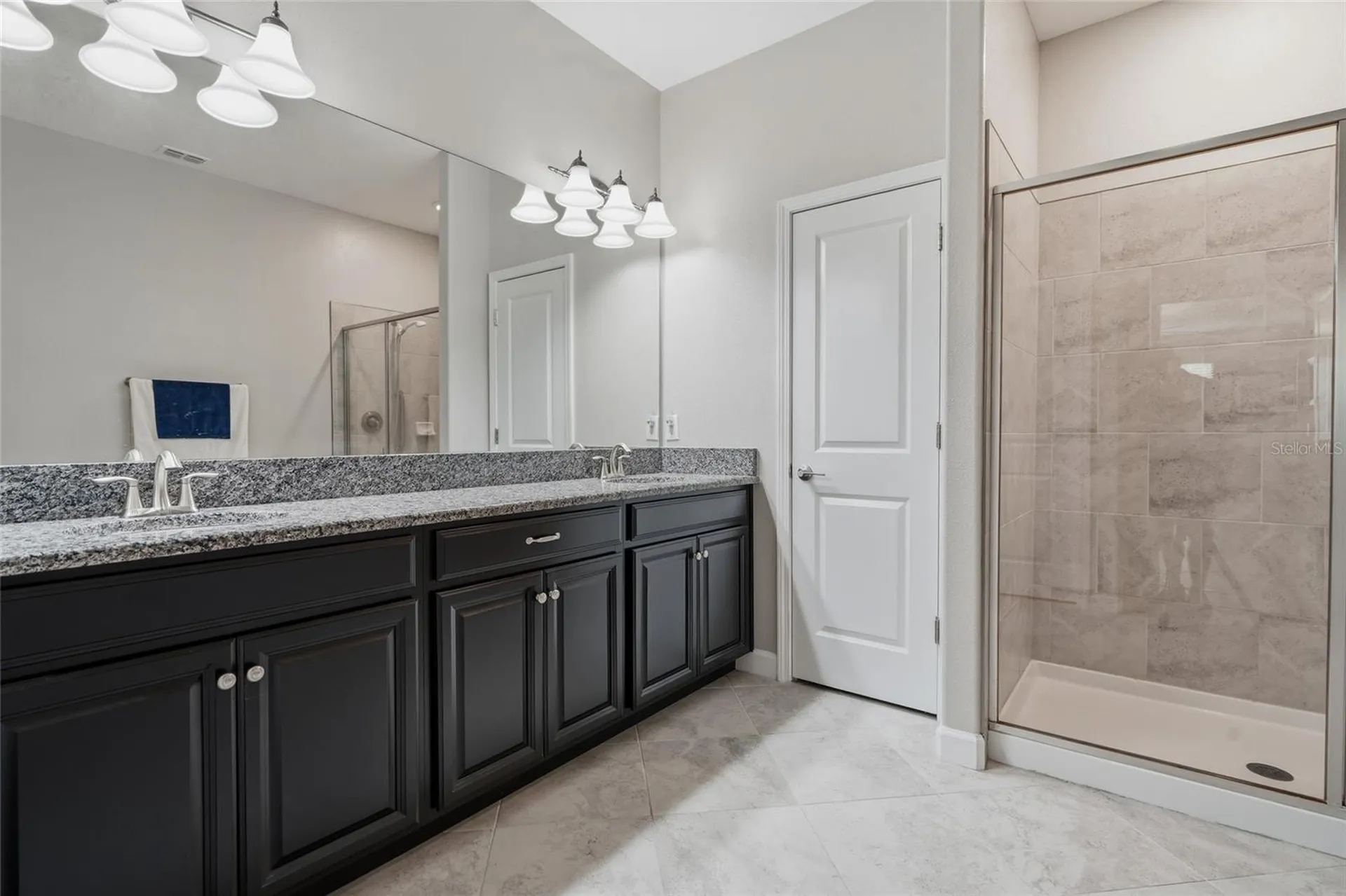 16952 Balance Cove Land O Lakes FL 34638